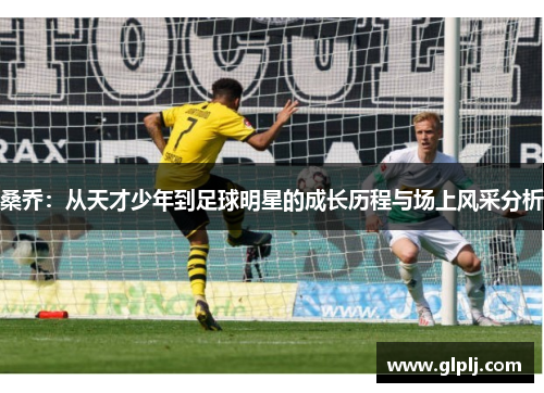 桑乔：从天才少年到足球明星的成长历程与场上风采分析