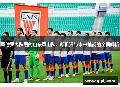 桑德罗离队后的山东泰山队：新机遇与未来挑战的全面解析